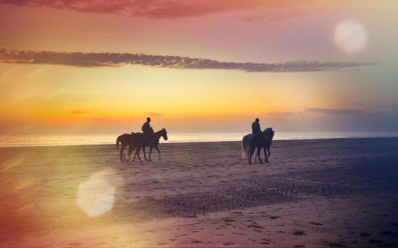 Blue Wave Lodge Agadir n'Ait Sa Esterno foto